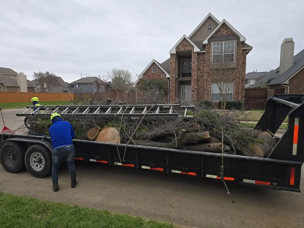 Expert Tree Removal with proper safety equipment in Roberts